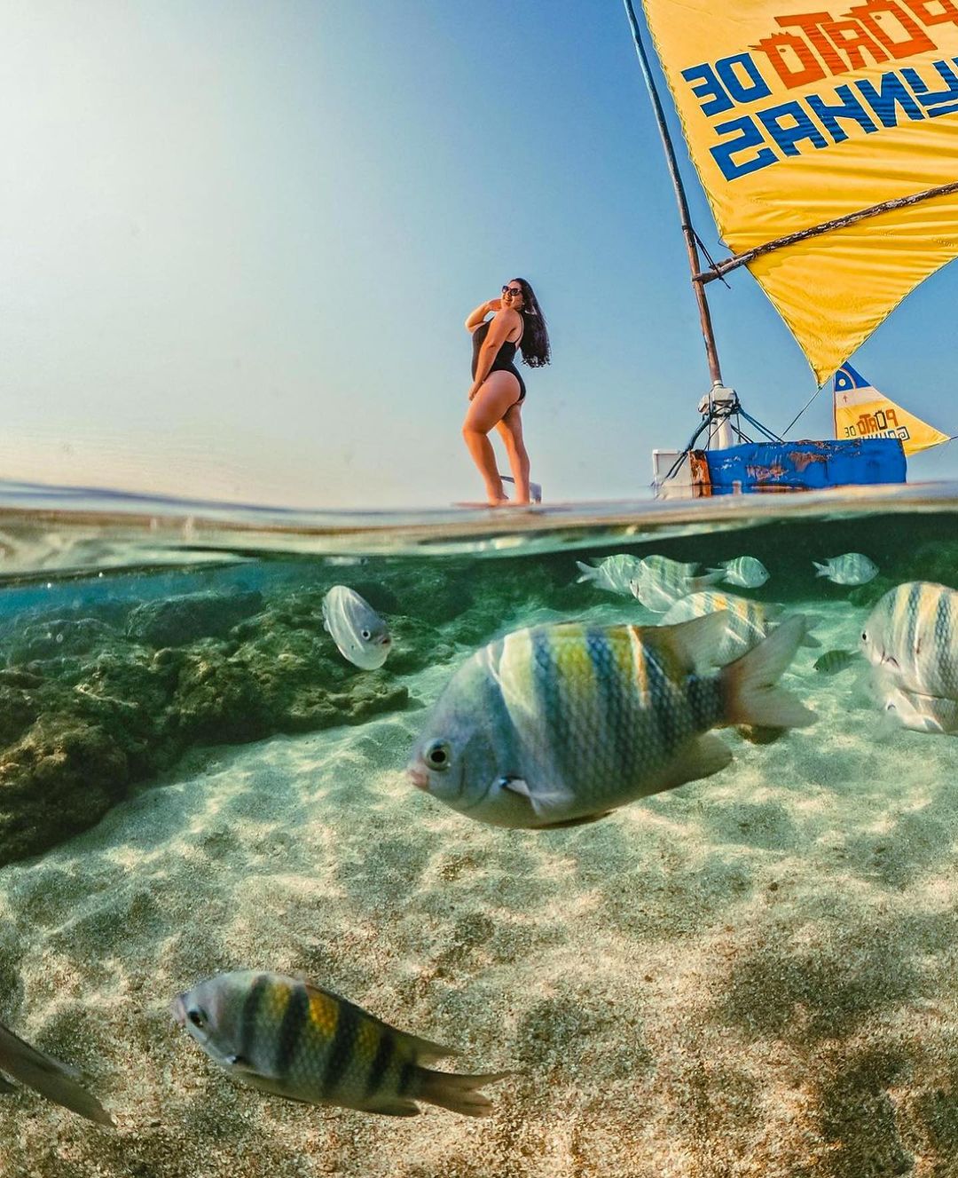 Excursão Porto de Galinhas com Maragogi - Via Pádua