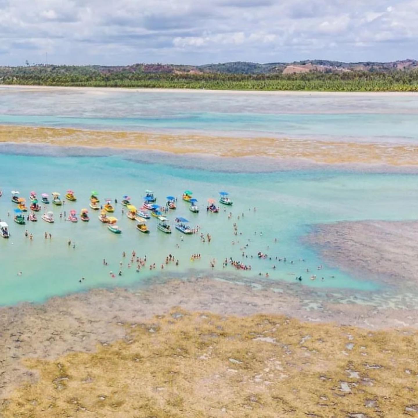 Maceió com Maragogi - 07 Maio 2025