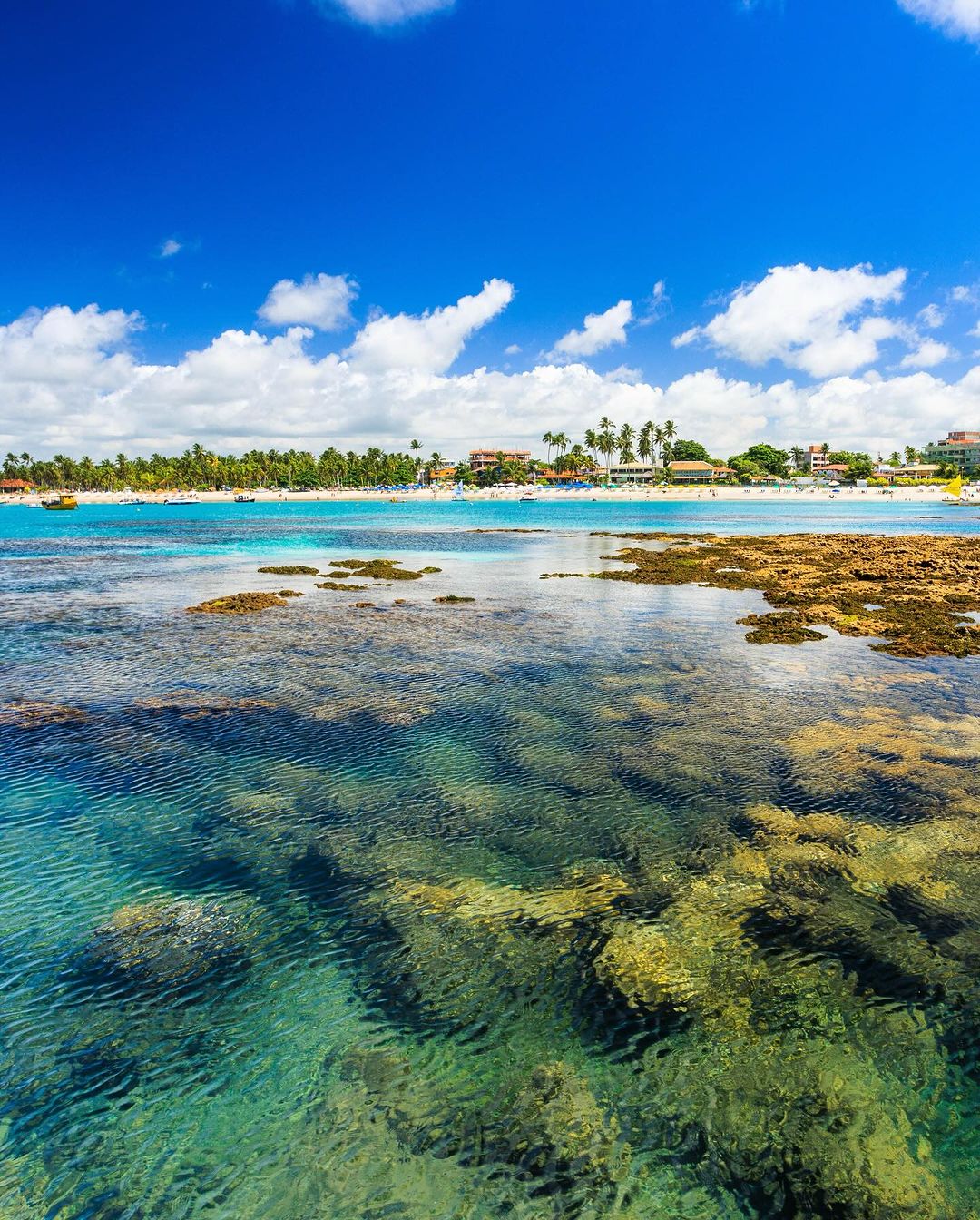 Porto de Galinhas - Fevereiro 2025