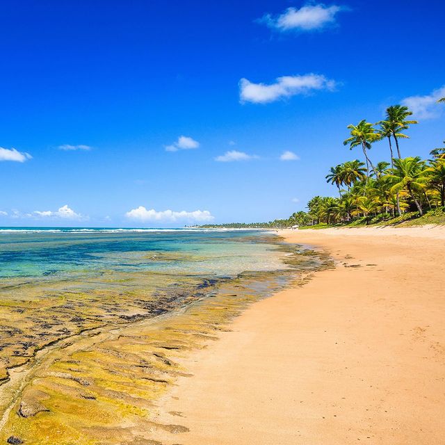 Excursão Porto de Galinhas com Maragogi - Via Pádua