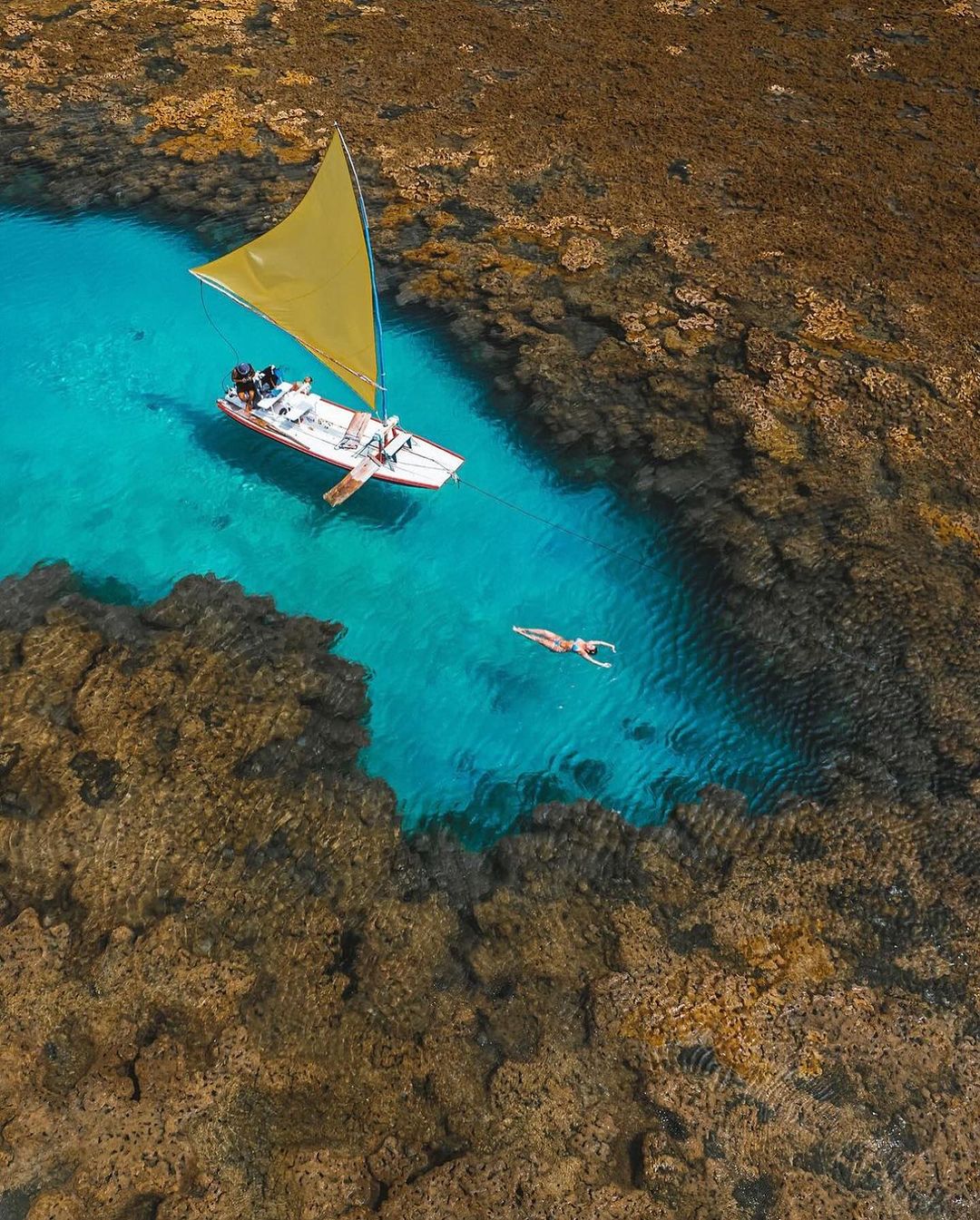 Excursão Porto de Galinhas com Maragogi - Via Pádua