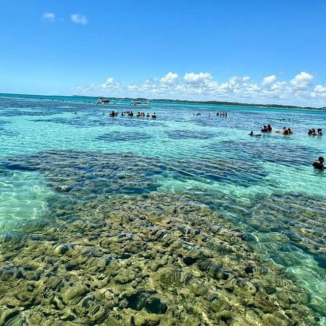 Maceió com Maragogi - 07 Maio 2025