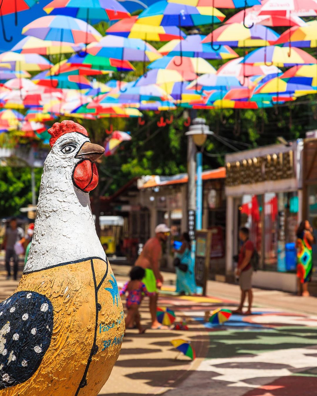 Porto de Galinhas - Fevereiro 2025