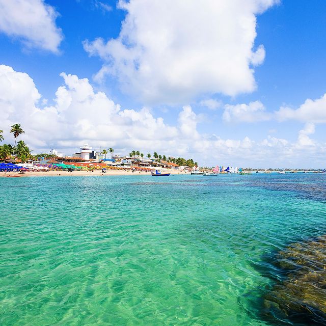 Excursão Porto de Galinhas com Maragogi - Via Pádua