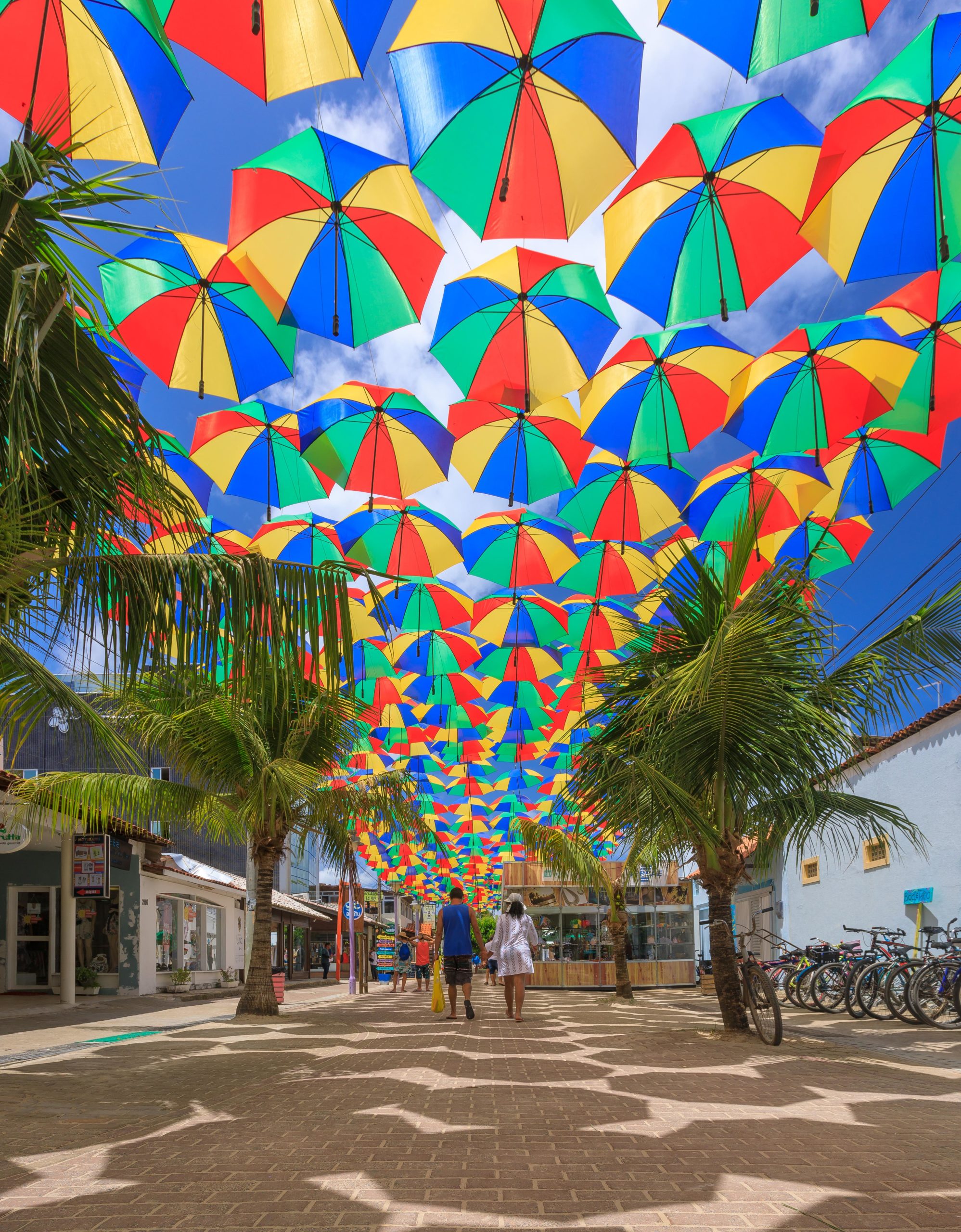 Porto de Galinhas com Maragogi-Março 2025